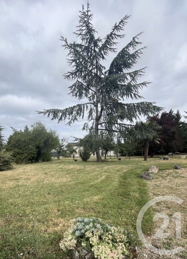 terrain - LOIREAUXENCE - 44