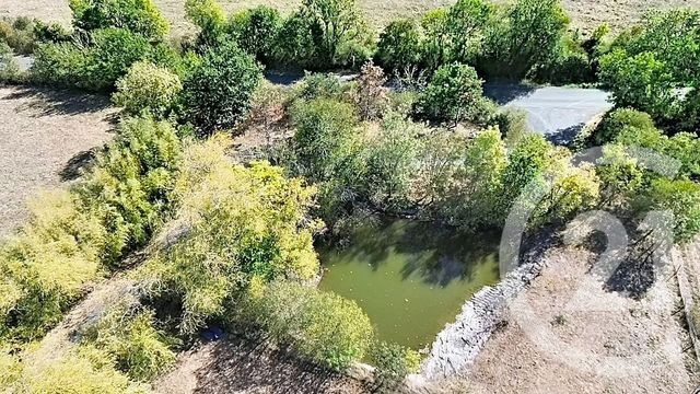 maison à vendre - 8 pièces - 167.96 m2 - MESANGER - 44 - PAYS-DE-LOIRE - Century 21 Iméo