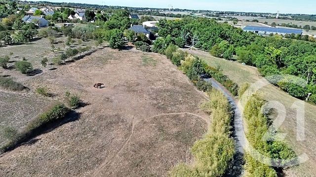 maison à vendre - 8 pièces - 167.96 m2 - MESANGER - 44 - PAYS-DE-LOIRE - Century 21 Iméo
