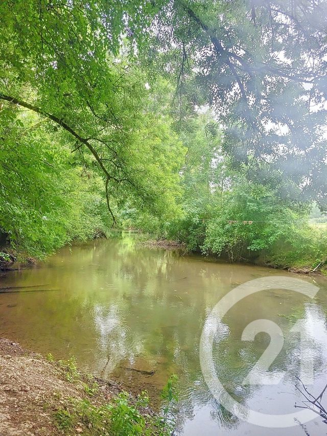 Afficher la photo en grand maison à vendre - 6 pièces - 146.86 m2 - RIAILLE - 44 - PAYS-DE-LOIRE - Century 21 Iméo