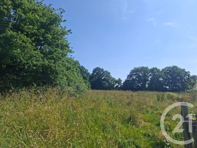 maison à vendre - 6 pièces - 223.0 m2 - COESMES - 35 - BRETAGNE - Century 21 Iméo