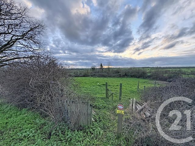 maison à vendre - 5 pièces - 131.83 m2 - ERBRAY - 44 - PAYS-DE-LOIRE - Century 21 Iméo