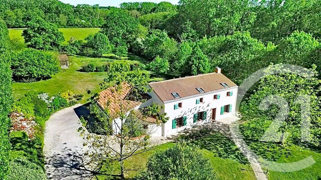 maison à vendre - 10 pièces - 205.0 m2 - MONTREVAULT SUR EVRE - 49 - PAYS-DE-LOIRE - Century 21 Iméo